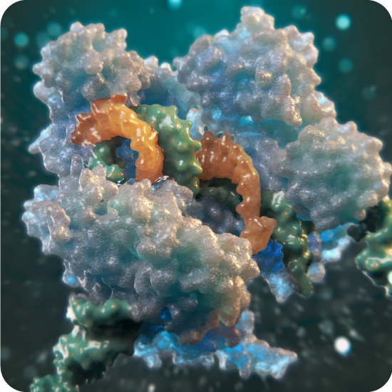 Supporting new CRISPR gene editing systems