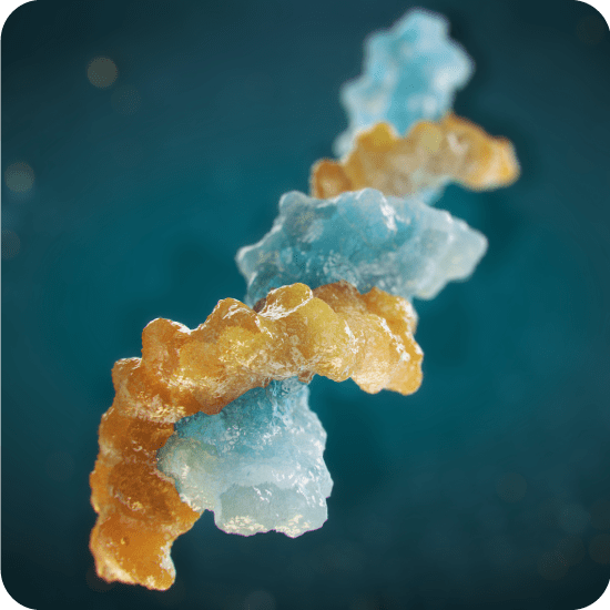 A 2-fold revolution: MS approaches for the bioanalysis of oligonucleotide therapeutics
