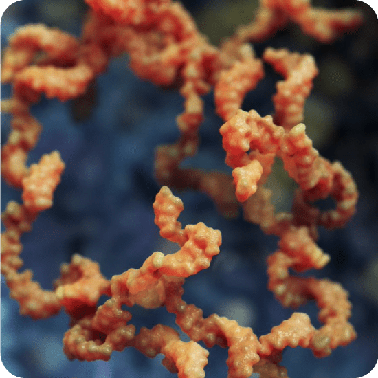 Addressing stability challenges of mRNA-LNP therapies