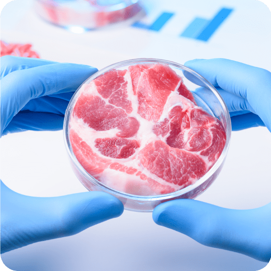 Mass spec data across the cultivated meat value chain