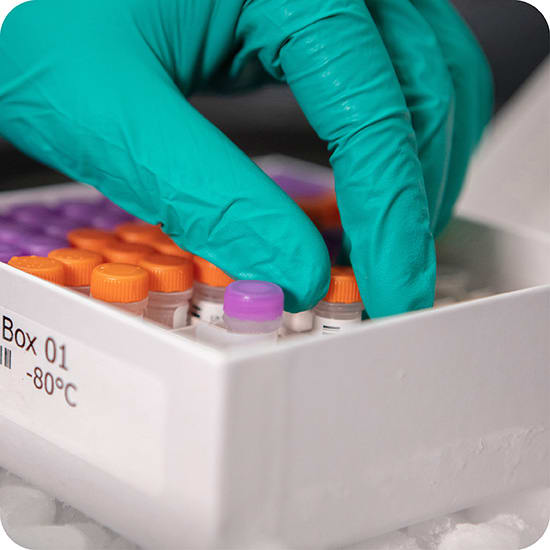 Inside the box: Complementary fragmentation with LC-MS for Metabolite Identification