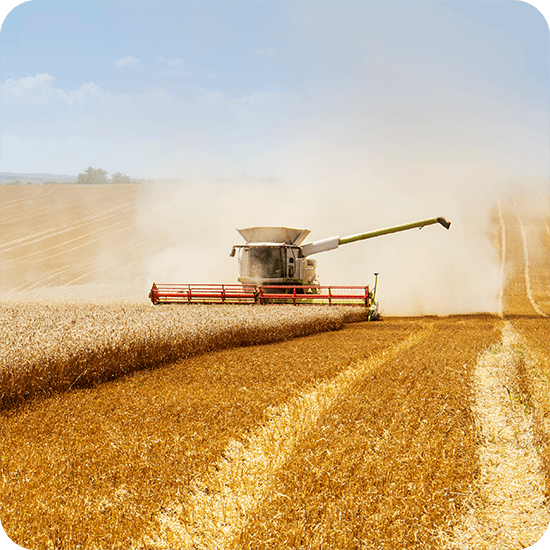 Tackling mycotoxin testing: Harnessing mass spectrometry for safer foods and healthier futures