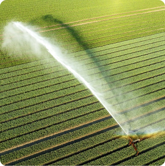 Q/A: Quantitative and qualitative solutions for large-panel pesticides assays using SCIEX Triple Quad and QTRAP systems