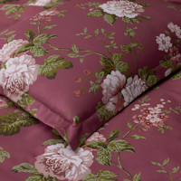 Victorian Bloom Floral Sateen Sham | The Company Store