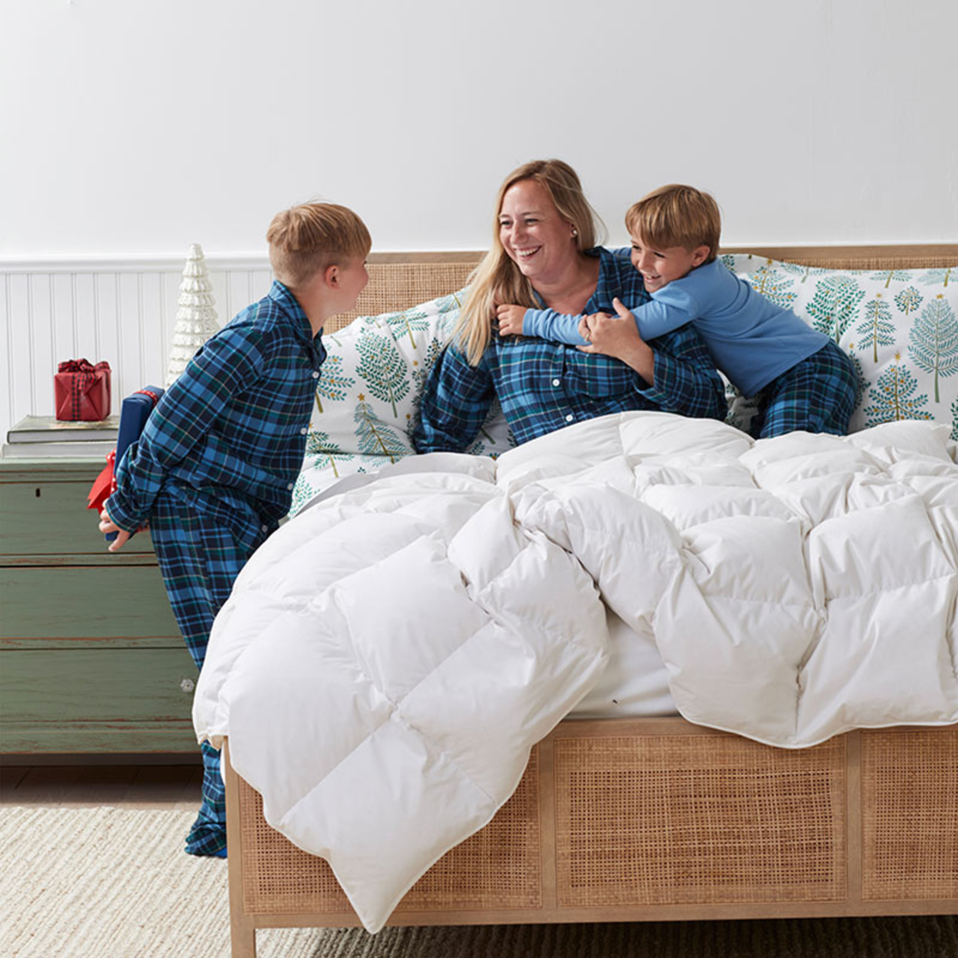 The Company Store LaCrosse Down Comforter - Thumbnail 5