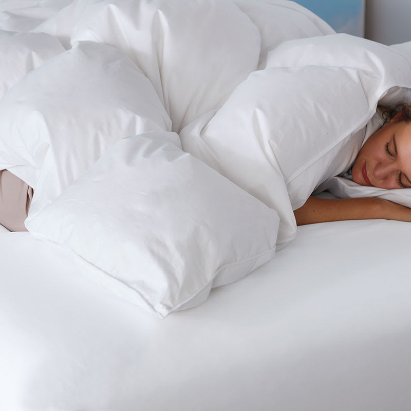 900 Fill Power Batiste Down Comforter (Full): White