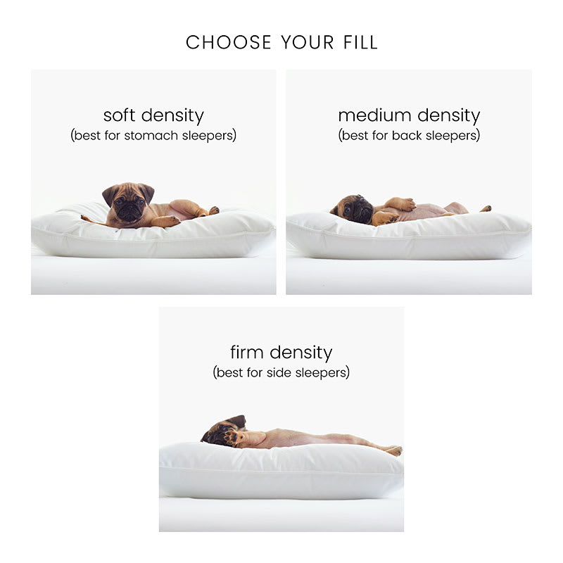 The company store down pillows cheap