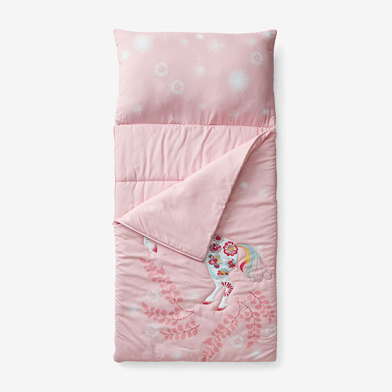 Youth sleeping bags with pillow sale