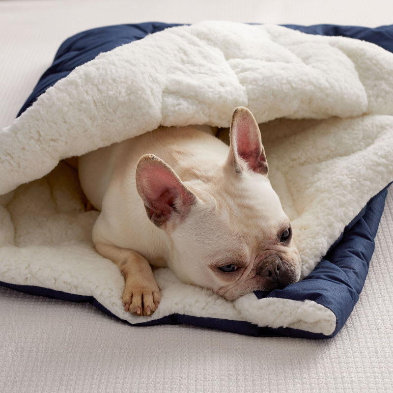 small dog sleeping bag bed Pet Cat Small Dog Puppy in sleeping bag Winter