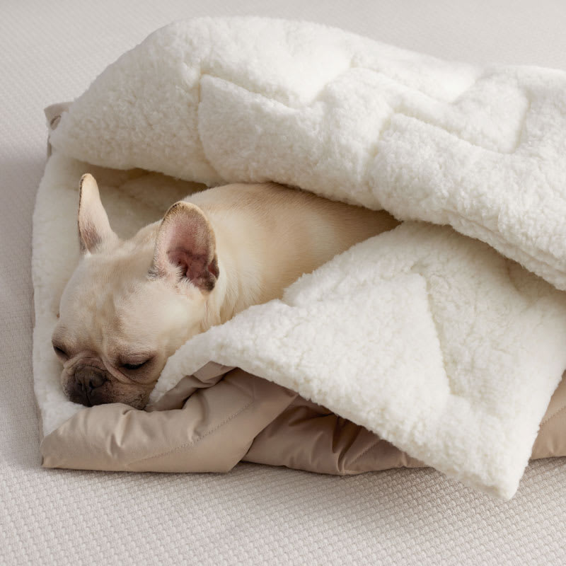 small dog sleeping bag bed Pet Cat Small Dog Puppy in sleeping bag Winter