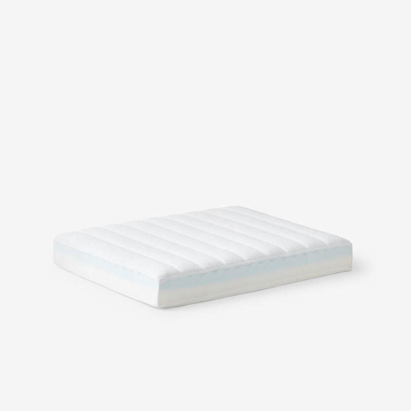 The company store dog beds 2025