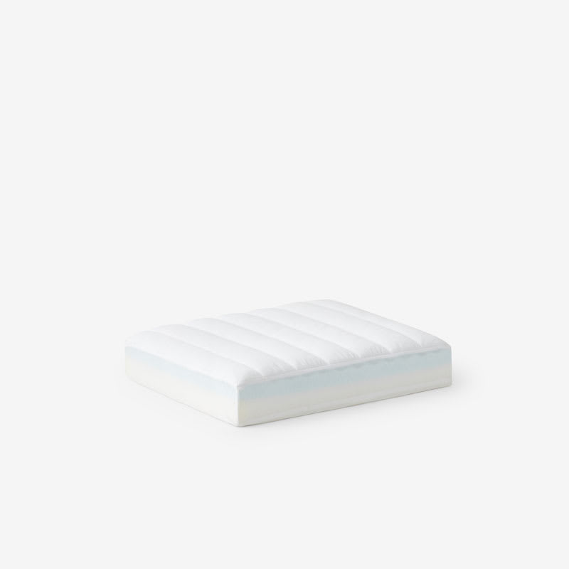 Dog bed foam inserts new arrivals
