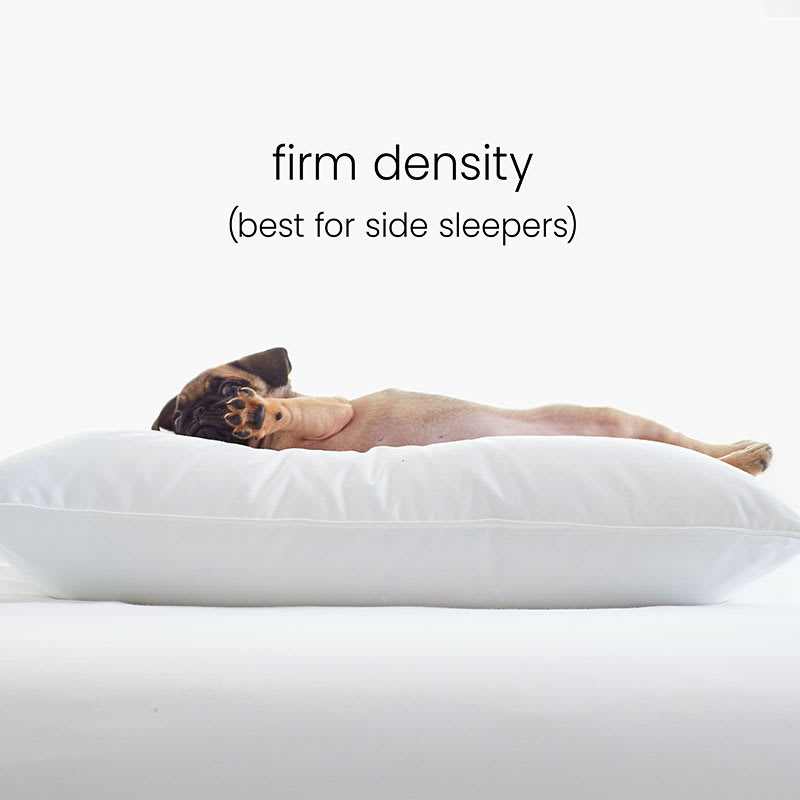 Firm Support Pillow (Set of 2) Size: King