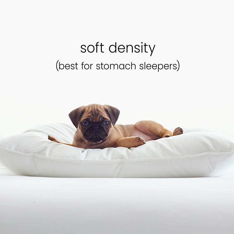 Down Flat Pillow Extra Soft Stomach Sleeper