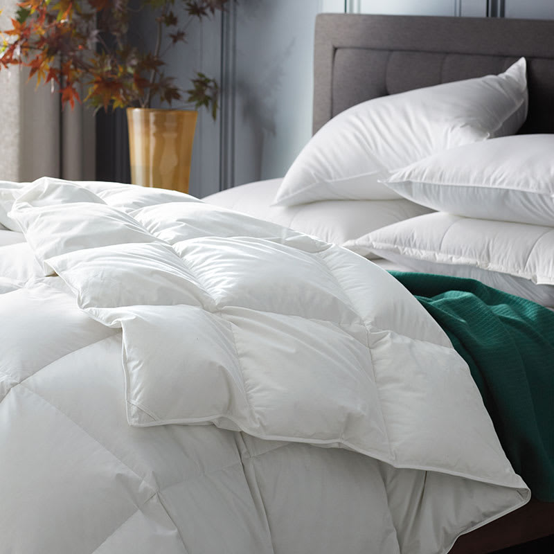 Premium Down and Wool Comforter - White, Size Twin, Cotton, Medium Warmth | The Company Store