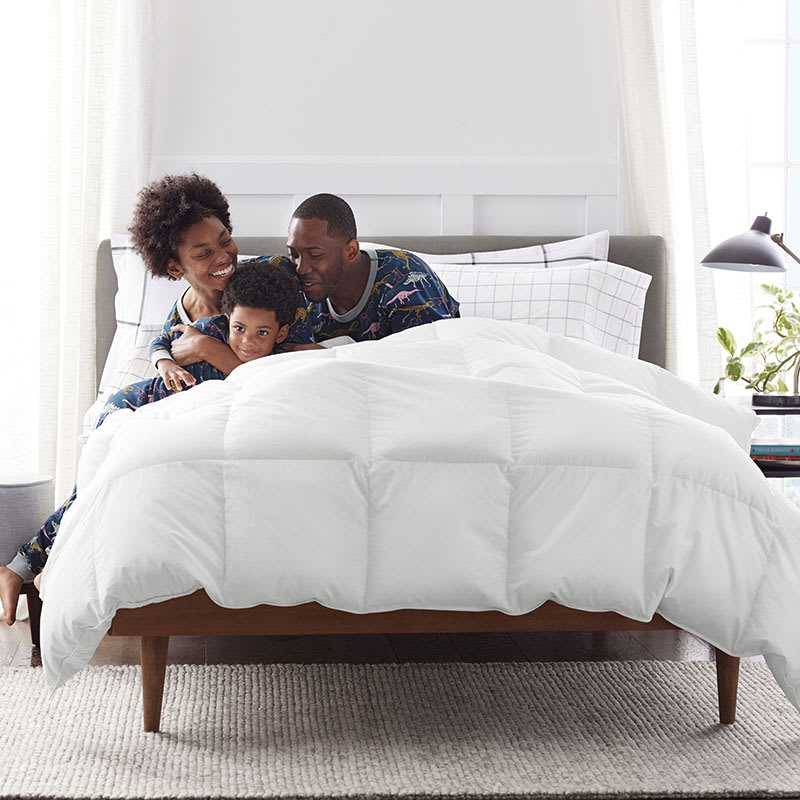 The company store down pillows sale
