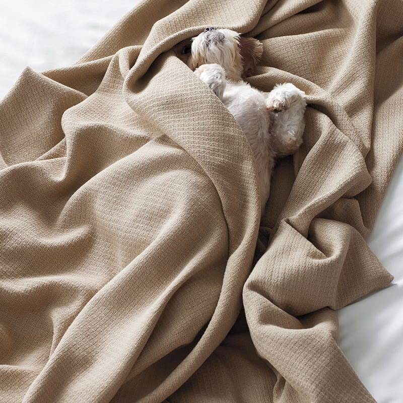 Textured Cotton Weave Blanket The Company Store