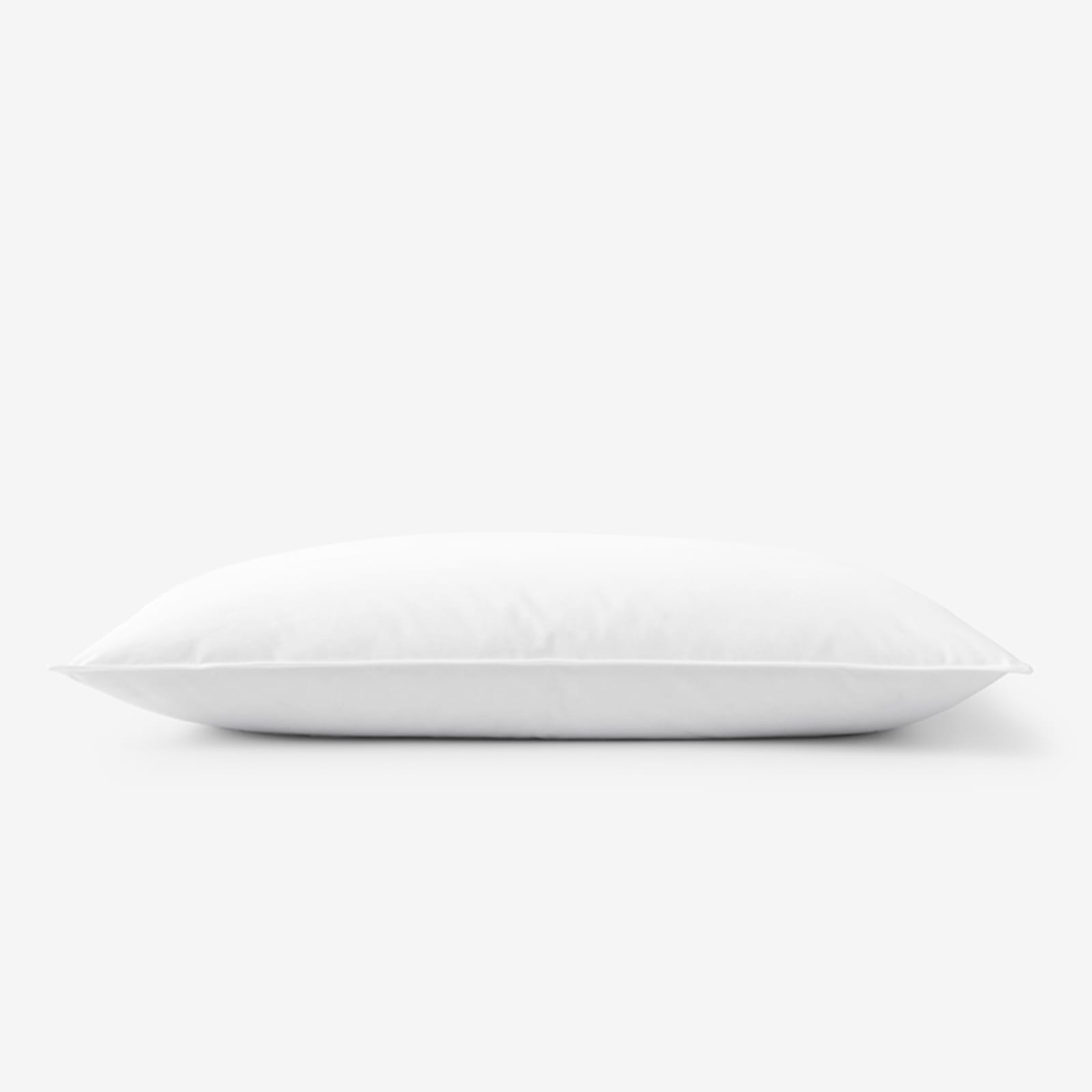 The Company Store Organic White Extra Firm Down Standard Pillow