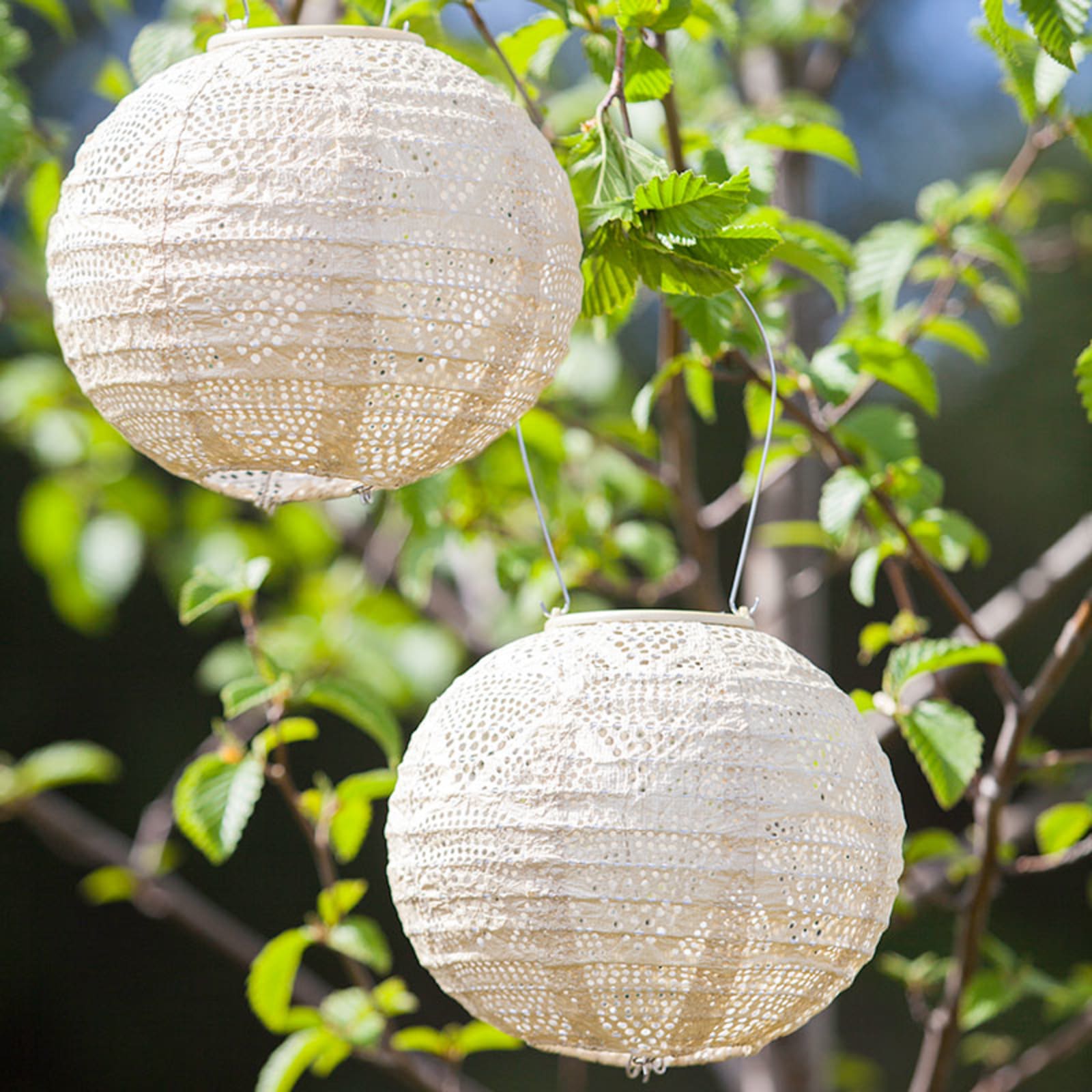 Solar globe hot sale lanterns
