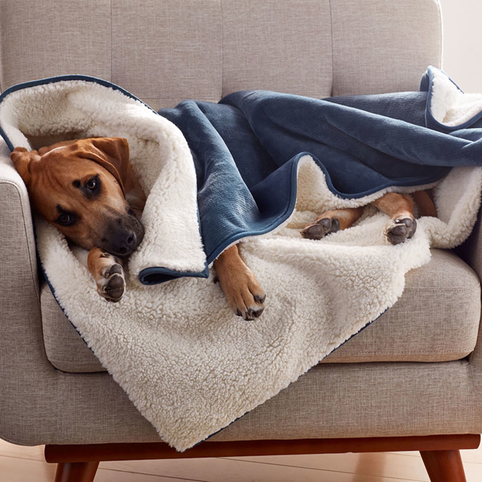 Fleece blanket with store pet photo