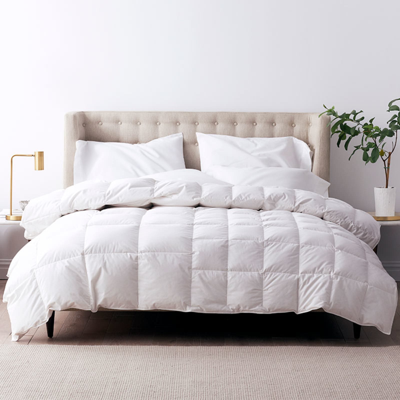 Premium Down and Wool Comforter - White, Size Twin, Cotton, Medium Warmth | The Company Store