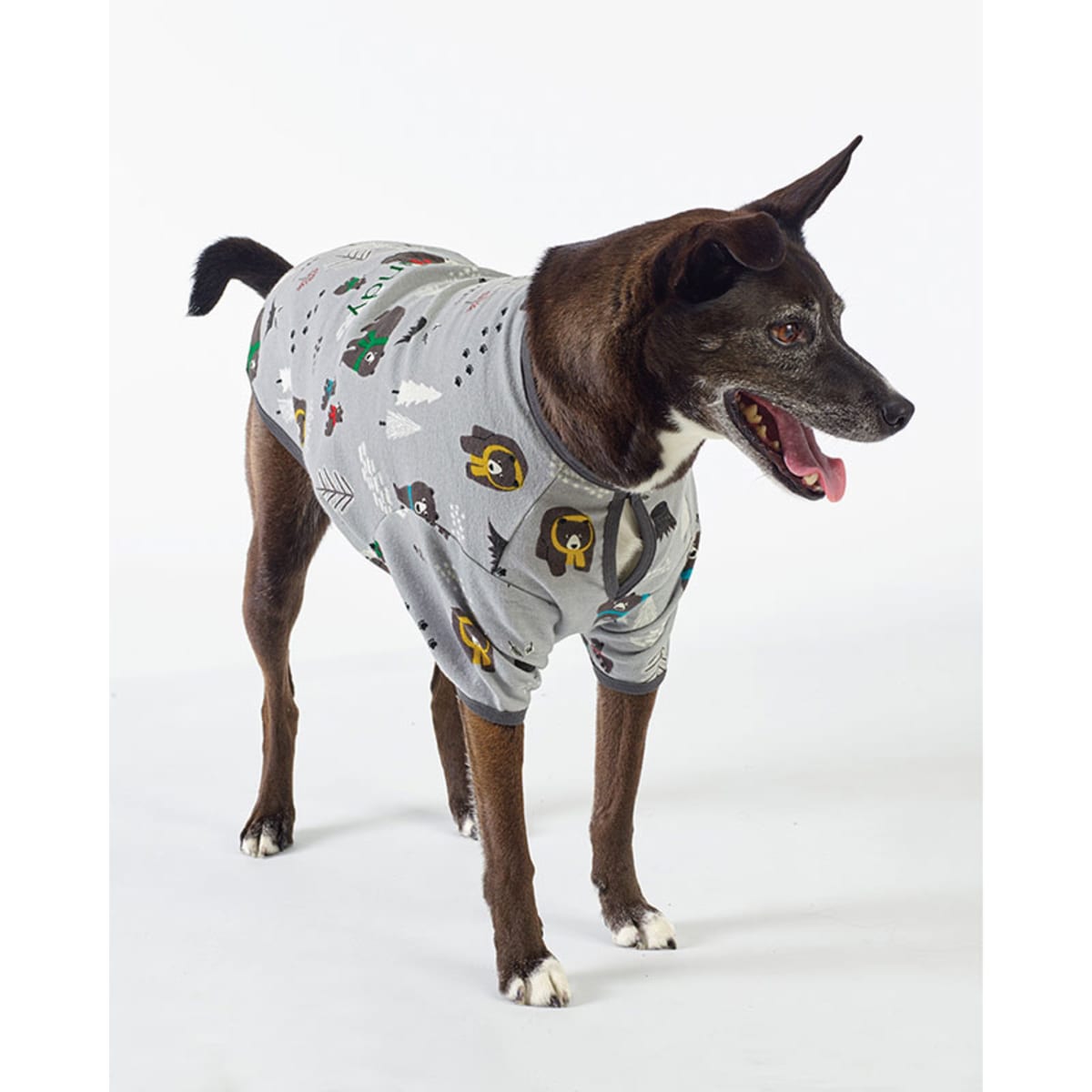 The company store dog pajamas clearance