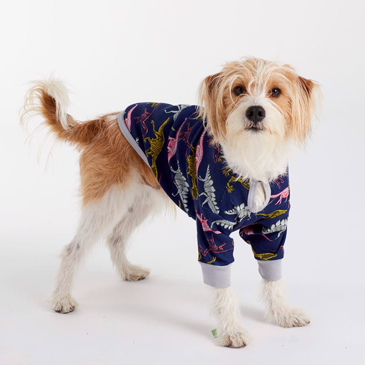 The company store dog pajamas clearance