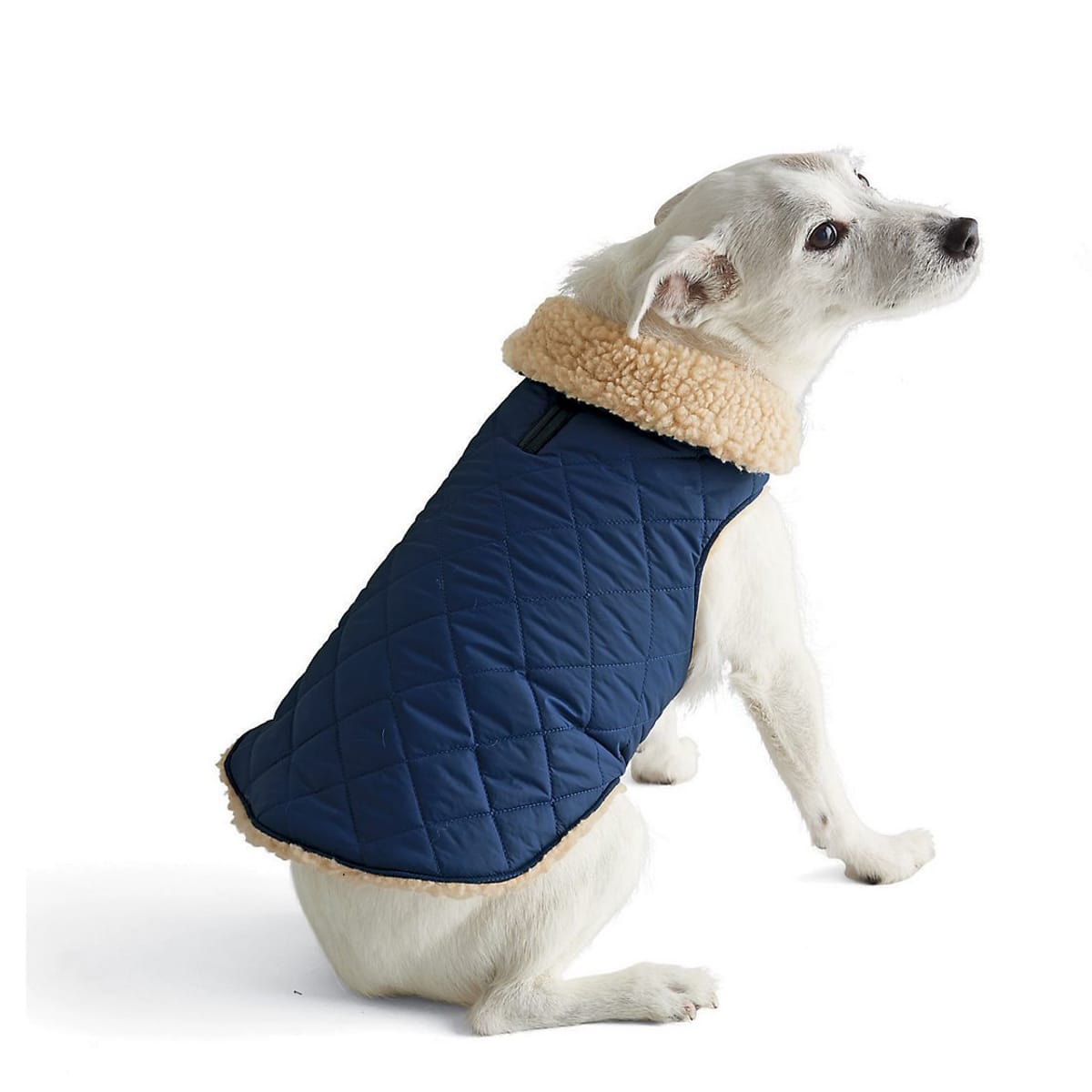 Quilted dog coats clearance