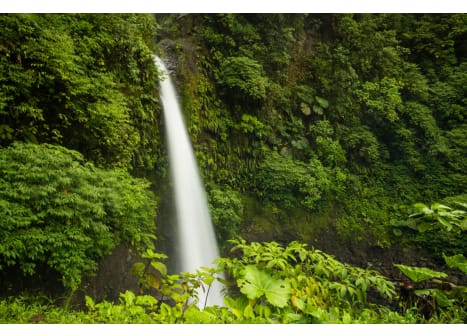 Seguro de Viaje para Centroamérica- Selva Costa Rica