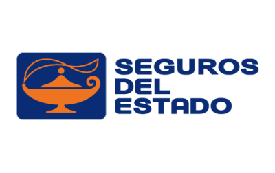 Seguros para Vehículos Estado