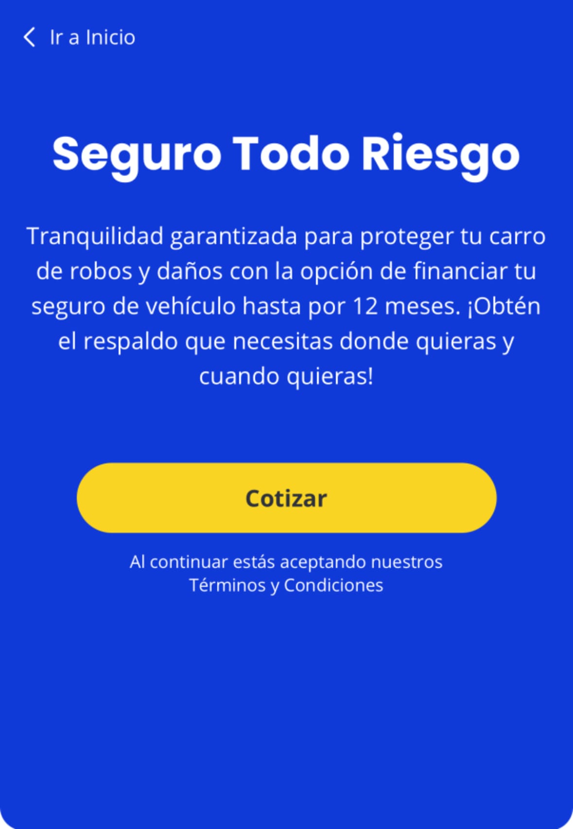 Simular un seguro de carro