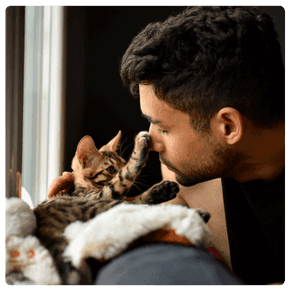 assurance pour chat