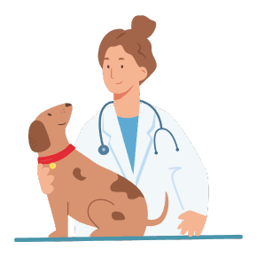 comparateur assurance animaux