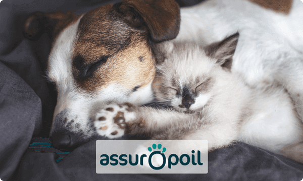 assurance chien assuropoil