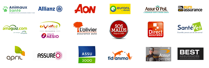 Comparateur Assurance : Auto, Santé, Emprunteur, Pros