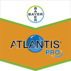 Atlantis Pro