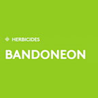 Bandoneon