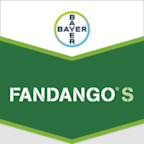 Fandango S
