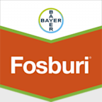 Fosburi (ou spécialité similaire)