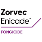 Zorvec Enicade