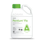 Pentium Flo