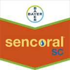 Sencoral Sc