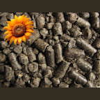 Tourteau de Tournesol High Pro