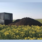 Compost De Lisier De Porc Et Matières Végétales 1.5 - 2.9 - 1