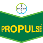 Propulse