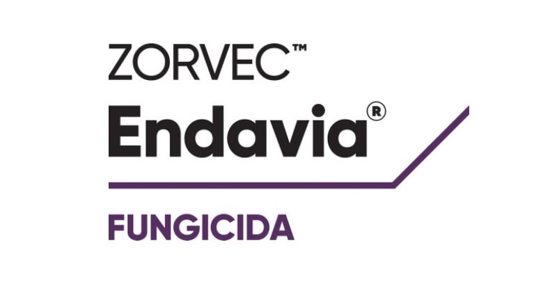 Zorvec Endavia | Cereapro