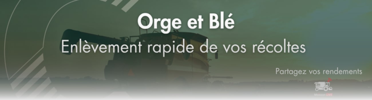 Orge et Blé ! Départ moisson