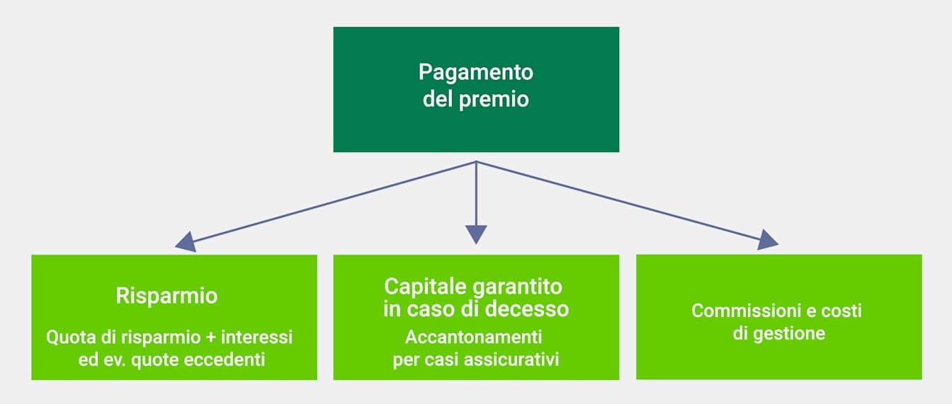 Il pagamento del premio si divide in risparmio, capitale in caso di decesso e commissioni e costi di gestione.