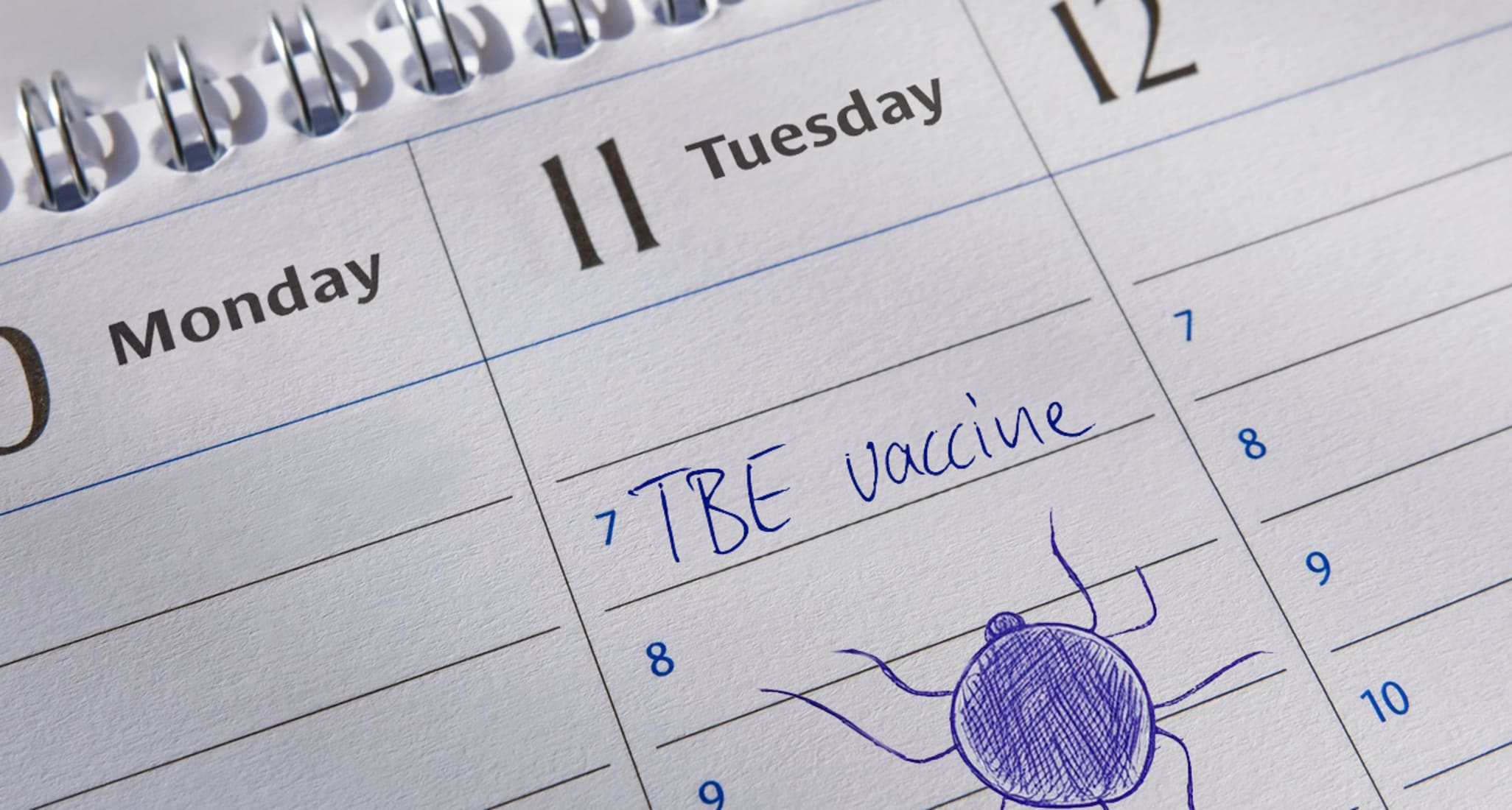 A calendar that reminds you about TBE vaccination.