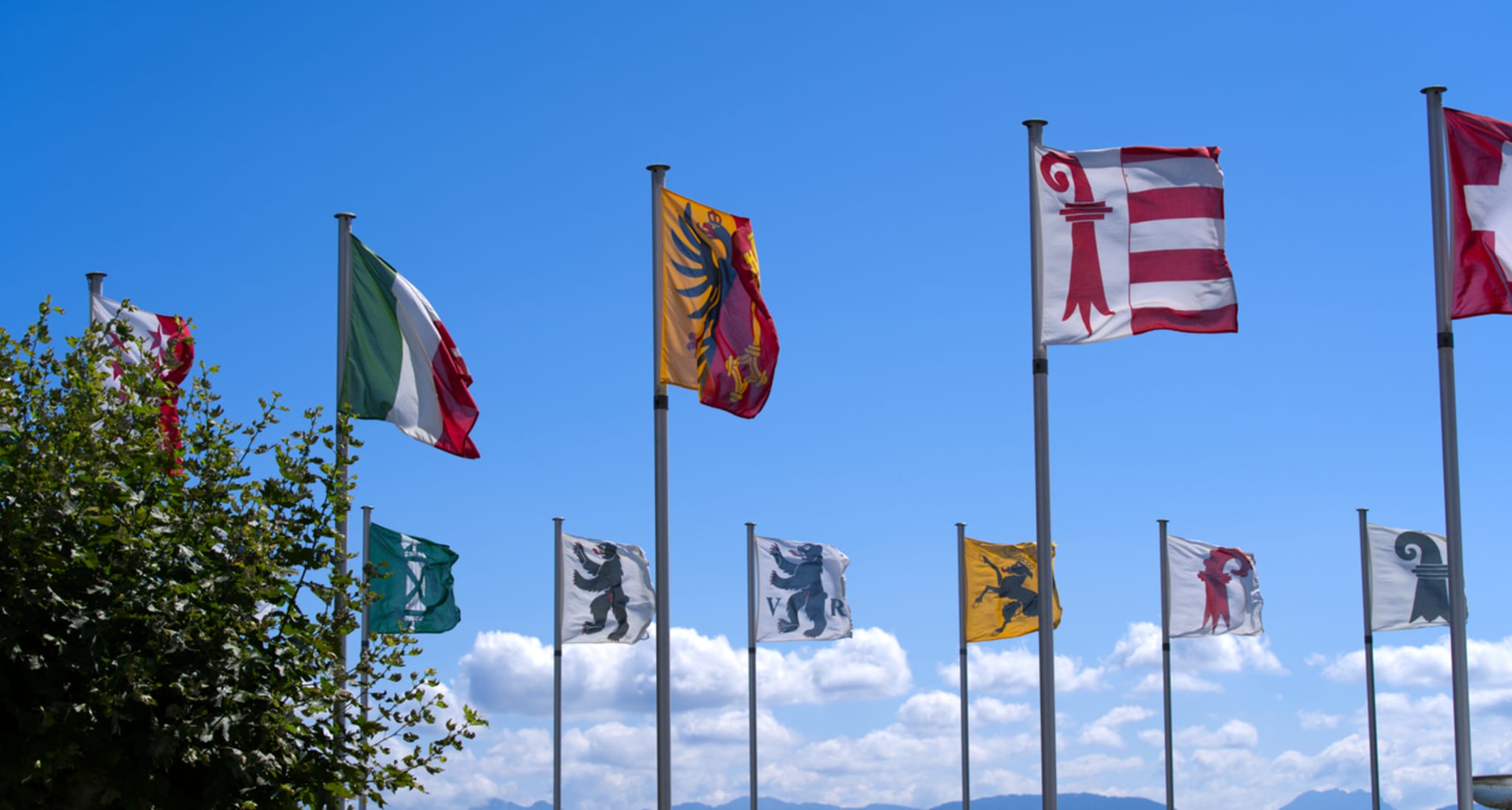 Flags of the different Swiss cantons blow in the wind.